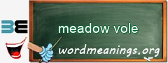 WordMeaning blackboard for meadow vole
